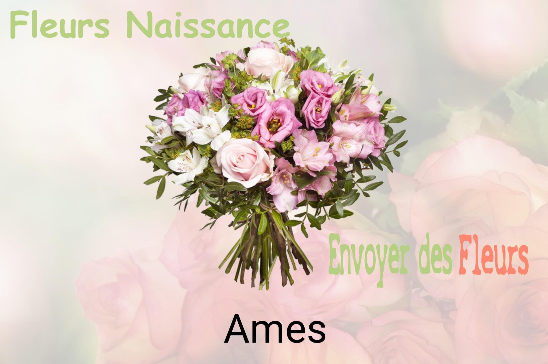 Bouquet de fleurs de naissance livré à Ames
